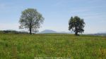 Nom du fichier=Moby_Mythic_2016_043.jpg
Taille du fichier=212Ko
Dimensions : 1024x576
Ajouté le : 26 Mai 2016 Moby_Mythic_2016_043.jpg