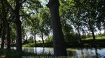 Nom du fichier=Rallye_du_Muguet_2017_020.jpg
Taille du fichier=298Ko
Dimensions : 1024x576
Ajouté le : 03 Mai 2017 Rallye_du_Muguet_2017_020.jpg
