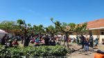 Nom du fichier=Rallye_du_Muguet_2017_021.jpg
Taille du fichier=226Ko
Dimensions : 1024x576
Ajouté le : 03 Mai 2017 Rallye_du_Muguet_2017_021.jpg