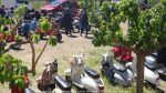 Nom du fichier=Rallye_du_Muguet_2017_024.jpg
Taille du fichier=293Ko
Dimensions : 1024x576
Ajouté le : 03 Mai 2017 Rallye_du_Muguet_2017_024.jpg