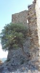 Nom du fichier=VWD_2016_022.jpg
Taille du fichier=293Ko
Dimensions : 576x1024
Ajouté le : 09 Juin 2016 VWD_2016_022.jpg