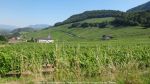 Nom du fichier=Caveau_Bugiste_de_Vongnes_2016_005.jpg
Taille du fichier=233Ko
Dimensions : 1024x576
Ajouté le : 13 Juillet 2016 Caveau_Bugiste_de_Vongnes_2016_005.jpg