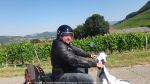 Nom du fichier=Caveau_Bugiste_de_Vongnes_2016_007.jpg
Taille du fichier=198Ko
Dimensions : 1024x576
Ajouté le : 13 Juillet 2016 Caveau_Bugiste_de_Vongnes_2016_007.jpg