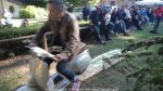 Nom du fichier=rallyedesgones_2016_022.jpg
Taille du fichier=200Ko
Dimensions : 1024x576
Ajouté le : 21 Juillet 2016 rallyedesgones_2016_022.jpg